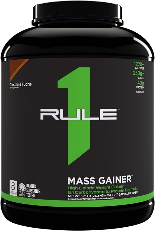 Mass Gainer, Chocolate Fudge - 2600g